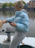 Winter Casual Blue Stand Collar Long Sleeve Short Padding