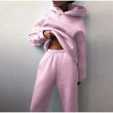 Autumn Winter Two Piece Set For Women Tracksuit Harajuku Hooded Sweatshirt And Elastic Waist Long Pant 2021 Solid
