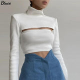 Women's Turtleneck Sexy Hollow Out Ribbing Knitted Sweaters Pullovers Female Two Piece Set Knitted Top Solid Basic Slim