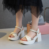 Woherb Women Summer 2023 Fashion Casual Platform Bottom With Skirt High Heel Thick Heel Shoes A Word With Beach Shoes