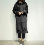 Long Hoodies Autumn Winter Loose Hooded Sweatshirts Casual Oversized Sweatshirt Baggy Pullovers Dress 7 Colors Plus