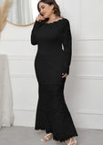 Lace Long Sleeves Plus Size Evening