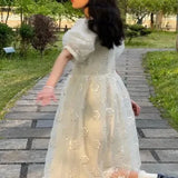 Long Fairy Dress Women Sweet Mesh Hollow Out Designer Vintage Dress 2021 Elegant Korean High Waist Party Floral Dress-Outfit