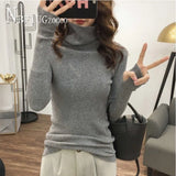 New Slim Turtleneck Women Sweater Long Sleeve Pullover Knitting Female