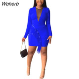 Sexy Slim Mesh Dress Women Fashion Mesh Stitching Long-sleeved Tassel Party Dress Women-Outfit