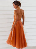 Sexy Deep V-neck Straps Backless A-line Mesh Party