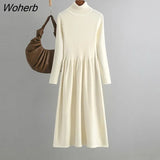 Women's Turtleneck Knitted Dress Fall Winter Casual Basic Warm A-line Sweater Dresses Korean Slim Mid-length Vestidos With Coats-Outfit