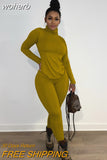 Wear Solid Autumn Tracksuit Women Casual Turtleneck Long Sleeve Pullover Top and Pants Slim Two Piece Set Basic Outfits-Outfit