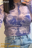 Graphic Print Green Mesh Sheer T-shirt Long Flare Sleeve Slim Crop Tops Sexy See Trough Women Tops Y2K Vintage Grunge-Outfit