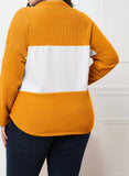 Color Blocking Casual V-neck Full Sleeves Knotted Regular Plus Size