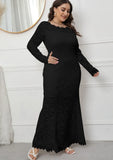 Lace Long Sleeves Plus Size Evening