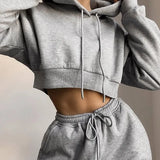 Autumn Winter Two Piece Set For Women Tracksuit Harajuku Hooded Sweatshirt And Elastic Waist Long Pant 2021 Solid