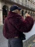 Women's Winter New Fashion Environmentally Friendly Artificial Fur Short Coat
