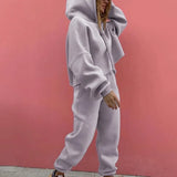 Autumn Winter Two Piece Set For Women Tracksuit Harajuku Hooded Sweatshirt And Elastic Waist Long Pant 2021 Solid