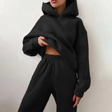 Autumn Winter Two Piece Set For Women Tracksuit Harajuku Hooded Sweatshirt And Elastic Waist Long Pant 2021 Solid
