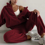 Women Fleece Hoodie Two Piece Sets Hooded Zipper Outerwear And Harem Pant Suit Autumn Winter Fashion Streetwear