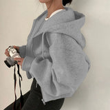 Hoodie Autumn Loose Long Sleeve Zipper