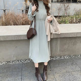 Elegant Stand Collar Flare Sleeve Women A-line Dress Chiffon Midi Dress Female Elastic Waist Pleated Vestidos 2020-Outfit