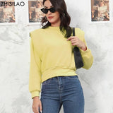 Crop Tops Autumn Winter Warm Fur Pullover Hoodies Women Streetwear Solid Cotton Thick Pink Sweatshirt 2022 Hip Hop