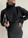 New Knitted Women's Turtleneck Sweater Pullover Fashion Oversize Long Sleeve Loose Ladies Jumper Warm Female Sweaters-Outfit