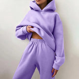 Autumn Winter Two Piece Set For Women Tracksuit Harajuku Hooded Sweatshirt And Elastic Waist Long Pant 2021 Solid
