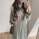 Elegant Stand Collar Flare Sleeve Women A-line Dress Chiffon Midi Dress Female Elastic Waist Pleated Vestidos 2020-Outfit