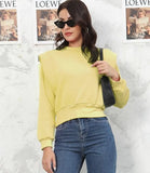 Crop Tops Autumn Winter Warm Fur Pullover Hoodies Women Streetwear Solid Cotton Thick Pink Sweatshirt 2022 Hip Hop