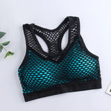 Seamless Mesh Hollow Sporty Bra Fitness Vest Bra Shockproof Underwear