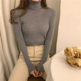 Warm Sweater Female 2019 New Fashion Rainbow Sweater Ladies High Collar Short Corp Tops