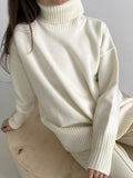 New Knitted Women's Turtleneck Sweater Pullover Fashion Oversize Long Sleeve Loose Ladies Jumper Warm Female Sweaters-Outfit