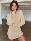 Winter Fashion Sexy Women's Package Hip Mini Dress 2021 Casual Turtleneck Solid Long Sleeve Knitted Plus Size Lady