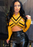 Knitting Hollow Out Long Sleeve Crop