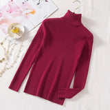 Pullovers Women Turtleneck Sweaters Fashion Spring Long Sleeve Female Jumper Autumn Korean Basic Top Soft Knitted