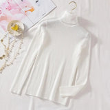 Pullovers Women Turtleneck Sweaters Fashion Spring Long Sleeve Female Jumper Autumn Korean Basic Top Soft Knitted