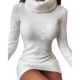 Winter New Fashion Turtleneck Sexy Women's Mini Package Hip Dress Casual Bodycon Solid Long Sleeve Ladies Furry