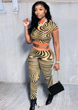 Print Mesh Tight Fitting Crop Top and Pants Club 2 Piece