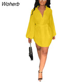 Casual Lace Up Shirts Mini Dress Women Fashion Loose Stripe V-Neck Lantern Sleeve Shirt Dress Women-Outfit
