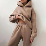 Autumn Winter Two Piece Set For Women Tracksuit Harajuku Hooded Sweatshirt And Elastic Waist Long Pant 2021 Solid