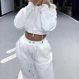 Autumn Winter Two Piece Set For Women Tracksuit Harajuku Hooded Sweatshirt And Elastic Waist Long Pant 2021 Solid