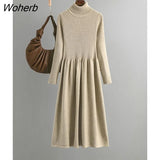Women's Turtleneck Knitted Dress Fall Winter Casual Basic Warm A-line Sweater Dresses Korean Slim Mid-length Vestidos With Coats-Outfit