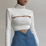 Women's Turtleneck Sexy Hollow Out Ribbing Knitted Sweaters Pullovers Female Two Piece Set Knitted Top Solid Basic Slim