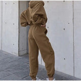 Autumn Winter Two Piece Set For Women Tracksuit Harajuku Hooded Sweatshirt And Elastic Waist Long Pant 2021 Solid