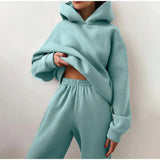 Tracksuit Autumn Plus Fleece Sweatshirts Two Piece Set Casual Oversized Solid Female Sports Hoodie Suit Long Pant